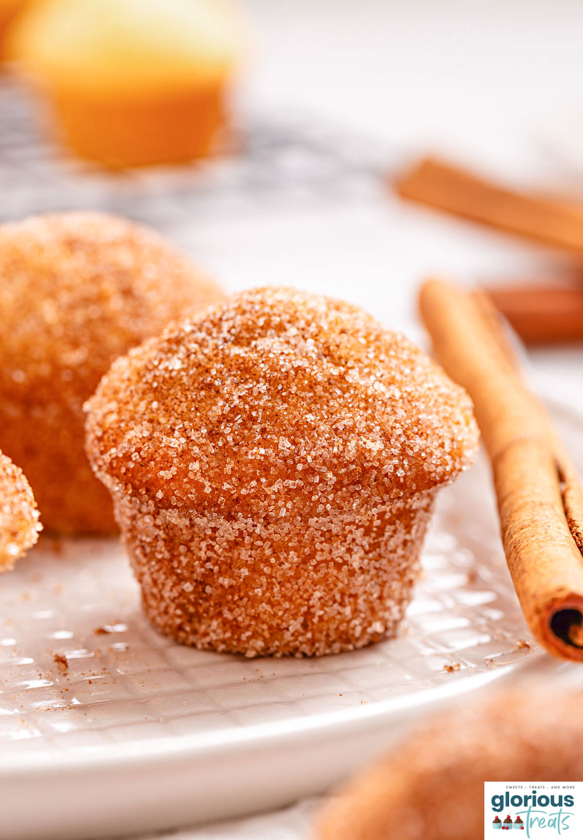https://www.glorioustreats.com/wp-content/uploads/2010/03/cinnamon-sugar-donut-muffins.jpeg