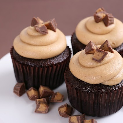 Chocolate Peanut Butter Cupcakes {Recipe} – Glorious Treats