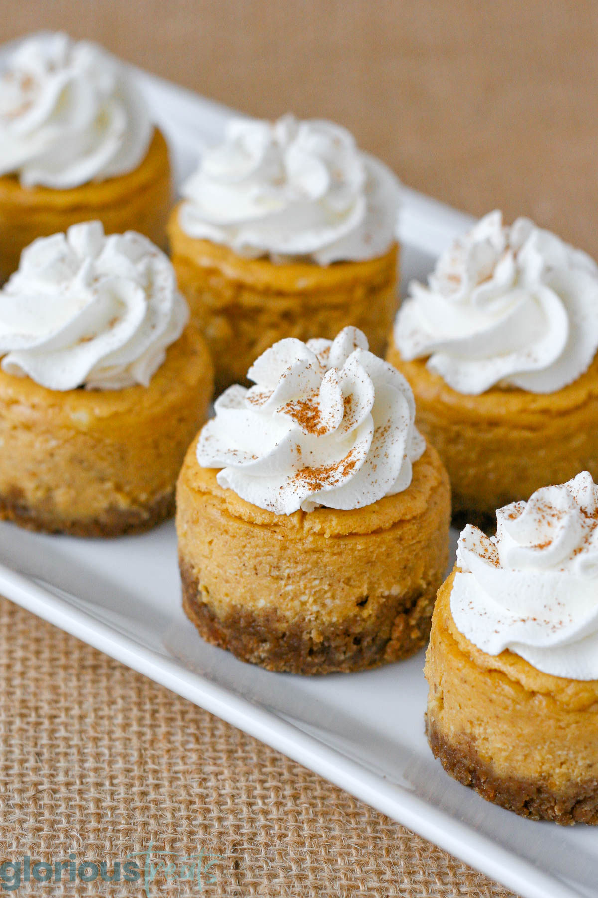 White rectangle platter sat at an angle topped with mini pumpkin cheesecake recipe.