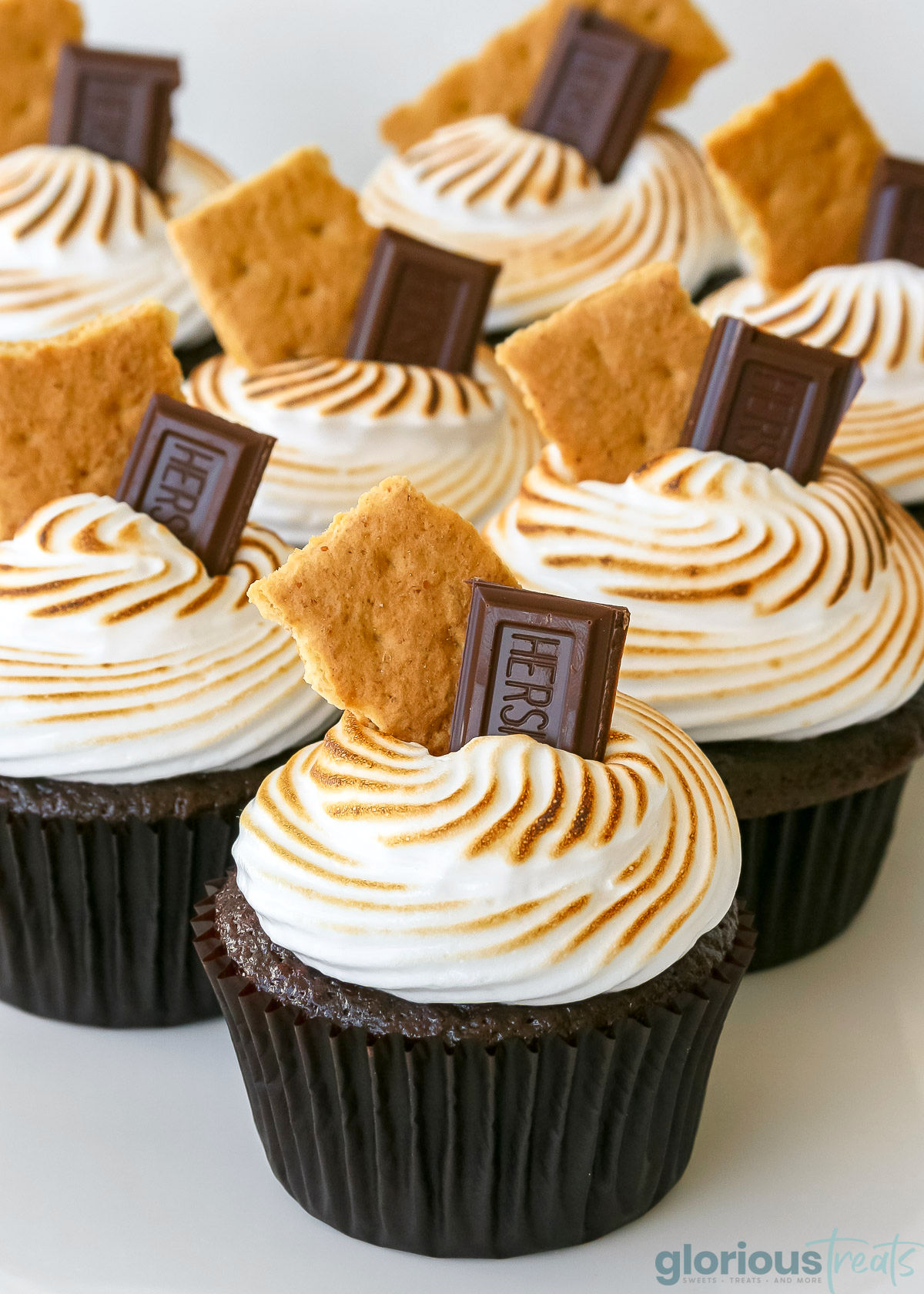 a group of chocolate cupcakes topped with s'mores frosting and hershey and graham crackers