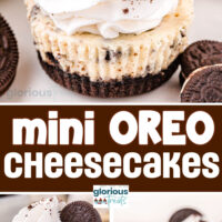 three image collage showing mini oreo cheesecakes topped with whipped cream and mini oreos on a small plate, one with a bite taken and a serving plate with four cheesecakes on it. Center color block with text overlay.